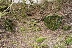 
Lasgarn Quarry Northern tunnel approach, March 2009